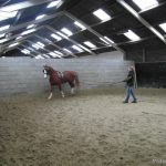 Training 10